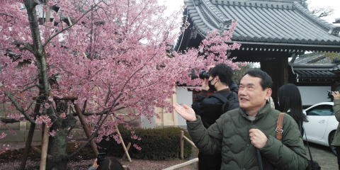 長徳寺の桜と映る長尾さんの写真