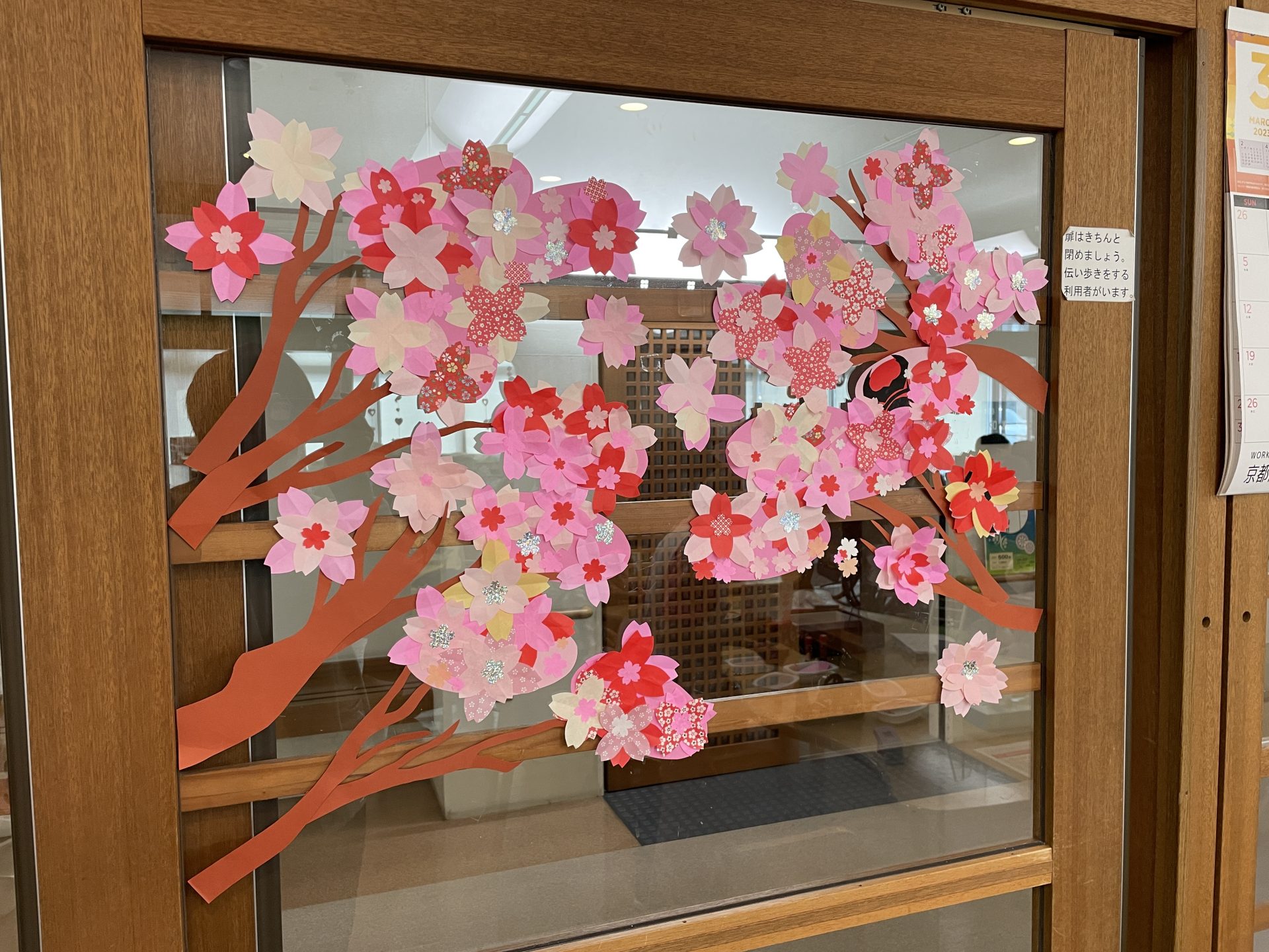 らくらくの扉のガラス面に、きれいな桜が咲きました